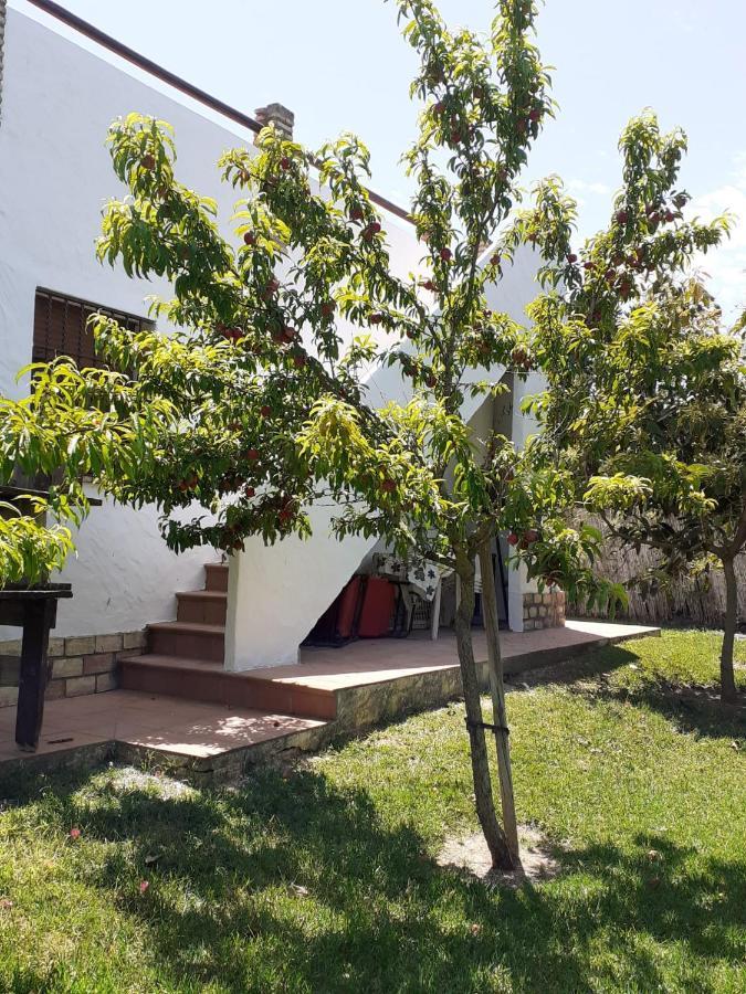 Zorollo Con Piscina Ferienhaus Conil De La Frontera